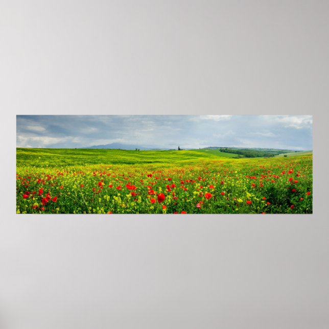 Panorama du paysage toscan Poster (Devant)