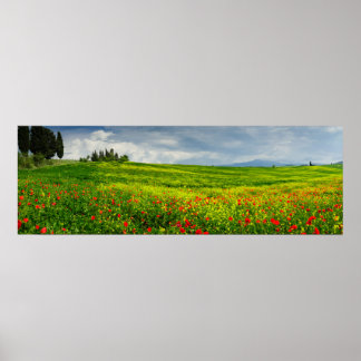Panorama du paysage toscan Poster