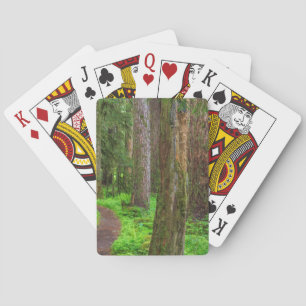 Panorama eines Urwaldes Spielkarten