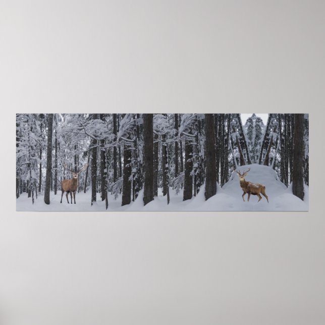 Panorama Poster (Vorne)