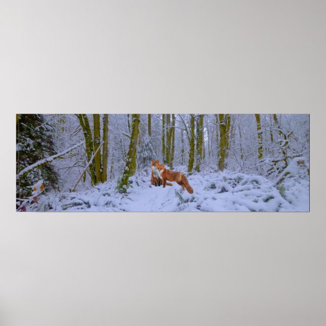 Panorama Poster (Vorne)