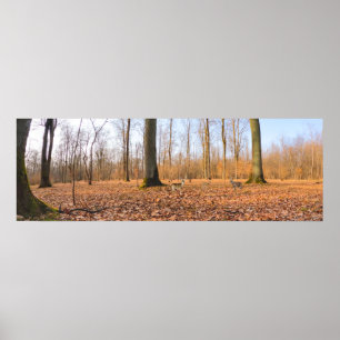 Panorama Poster
