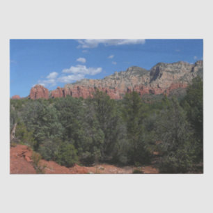 Panorama von Red Rocks in Sedona Arizona Seidenpapier