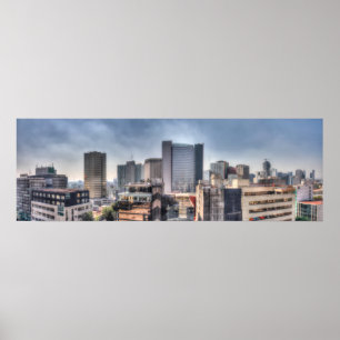 Panoramablick auf die Stadt Mexiko Poster