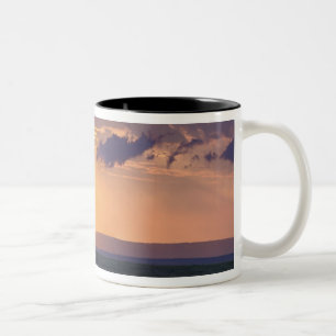 Panoramablick auf einen einzelnen Akazienbaum bei Zweifarbige Tasse