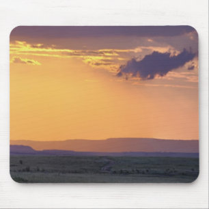 Panoramasicht auf den Akazienbaum des Single Mousepad