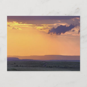 Panoramasicht auf den Akazienbaum des Single Postkarte
