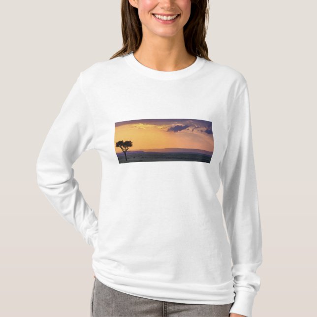 Panoramasicht auf den Akazienbaum des Single T-Shirt (Vorderseite)