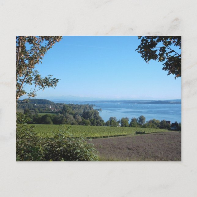 Panoramasicht auf den Bodensee Postkarte (Vorderseite)