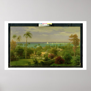 Panoramasicht auf den Hafen von Nassau in der Bah Poster