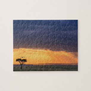 Panoramasicht auf den Vulture- und Akazienbaum