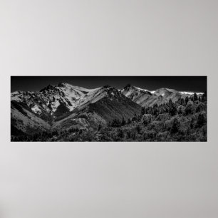 Panoramawald und Landschaft der Anden Poster