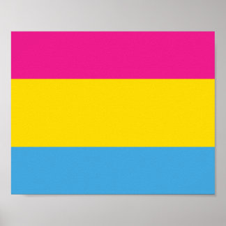 Pansexual Flag Posters Poster