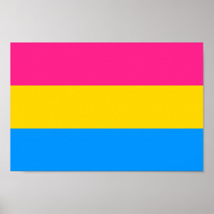 Pansexual Prix Colors Poster