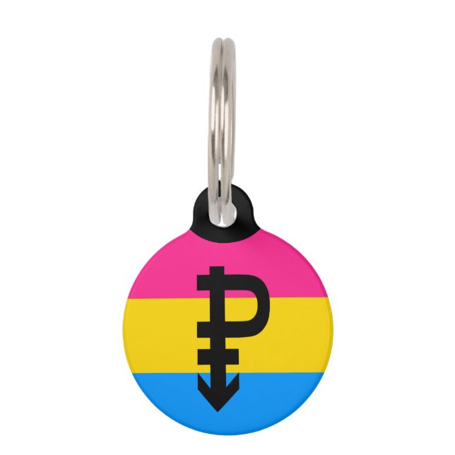 Pansexual-Stolperflagge Haustiermarke (Vorderseite)