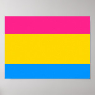 Pansexual Stolz-Flagge Poster