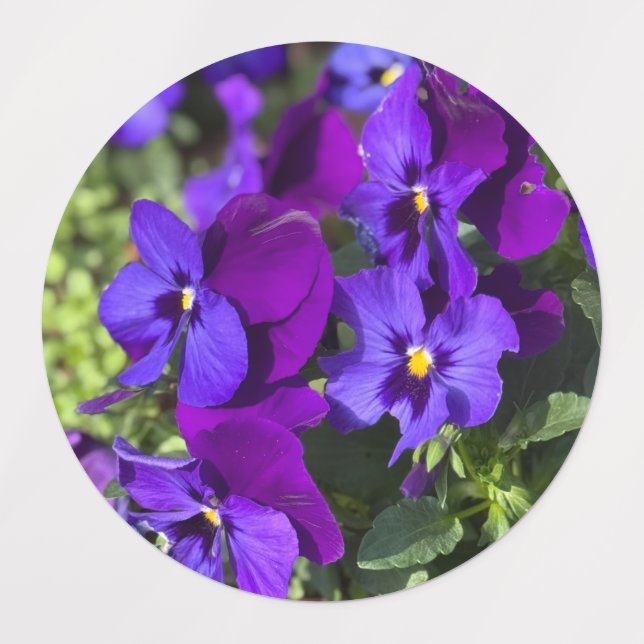 Pansies Return Address Labels Etiketten (Design 3)