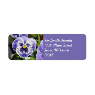 Pansy