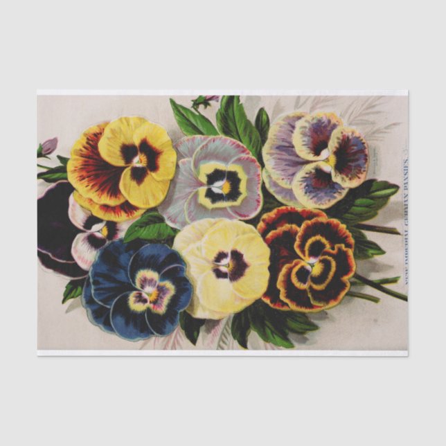 Pansy Antiquitäten Gartenteppichpapier Seidenpapier (Vorderseite)