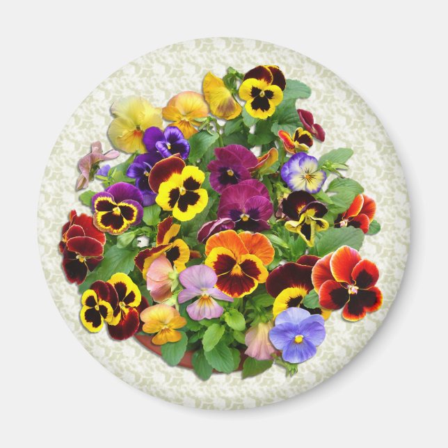 PANSY BEAUTY~ Magnet (Devant)