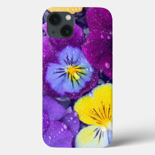 Pansy Blume schwimmen im Vogelbad mit Tau 2 Case-Mate iPhone Hülle