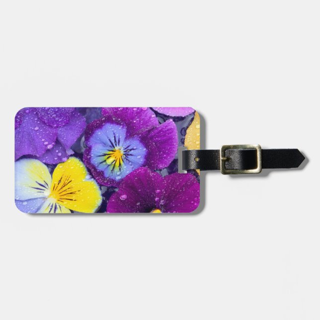 Pansy Blume schwimmen im Vogelbad mit Tau 2 Gepäckanhänger (Vorderseite horizontal)