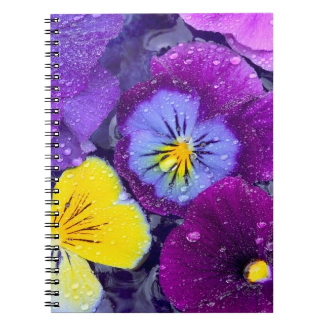 Pansy Blume schwimmen im Vogelbad mit Taube Notizblock (Vorderseite)