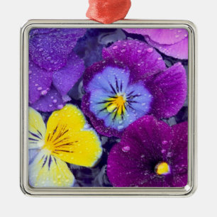 Pansy Blume schwimmen im Vogelbad mit Taube Ornament Aus Metall