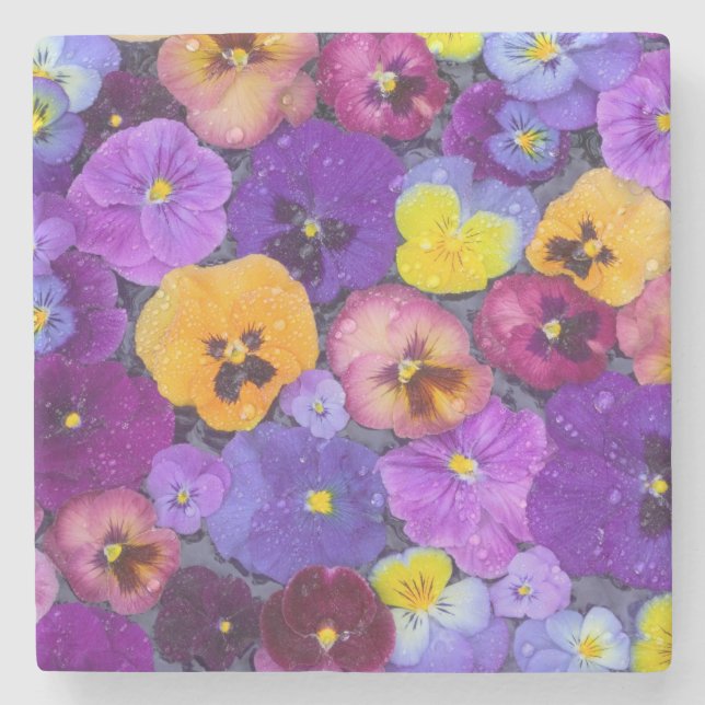 Pansy Blume schwimmen im Vogelbad mit Taube Steinuntersetzer (Vorderseite)