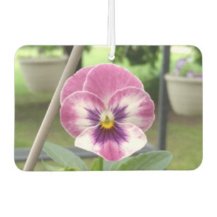 Pansy Car Air Freshener (rosa & Lila) Autolufterfrischer