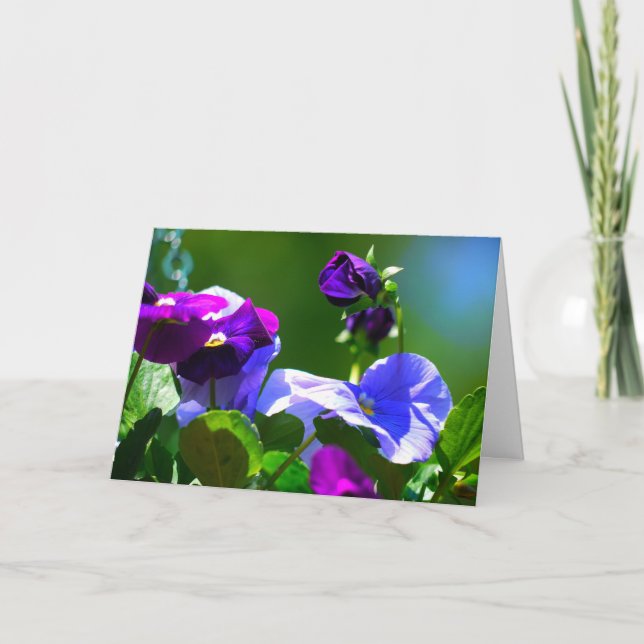 PANSY CARD-any-EINGANG Karte (Vorderseite)
