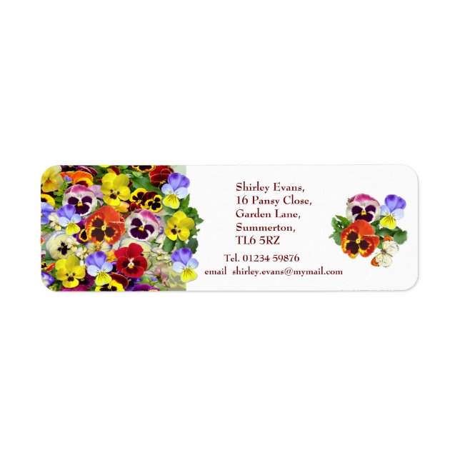 Pansy Display Custom Text (Vorne)