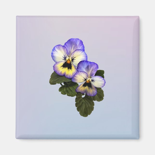 Pansy Duo Magnet (Vorne)