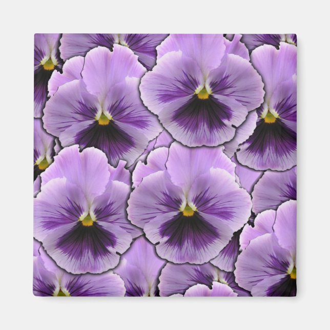 Pansy Garden Magnet (Vorne)