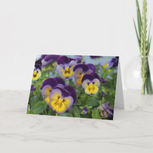 Pansy Greeting Card Karte