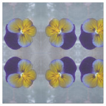Pansy Hübsch Spring