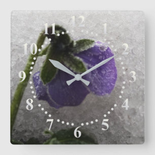 Pansy in snow quadratische wanduhr