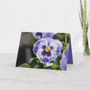 Pansy Karte