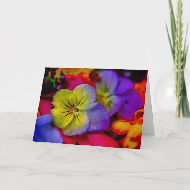 PANSY KARTE (Vorderseite)