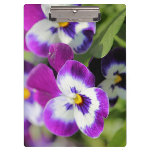 Pansy Klemmbrett
