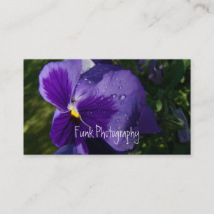 Pansy mit Wasser-Tröpfchen Visitenkarte