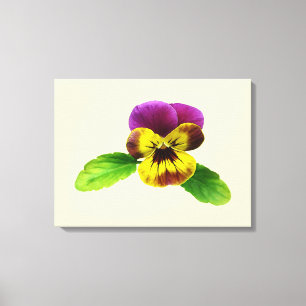 Pansy mit willkommenen Waffen Leinwanddruck