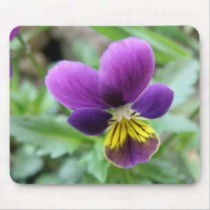 Pansy Mousepad