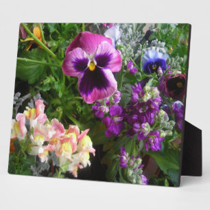 Pansy N friends Foto Plaque Fotoplatte