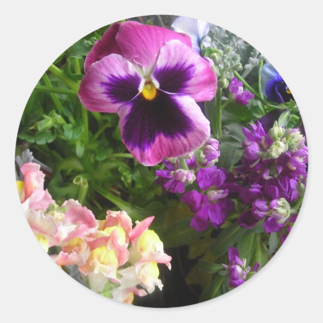 PANSY N FRIENDS STICKERS (Vorderseite)