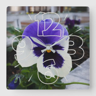 Pansy on the sidewalk quadratische wanduhr