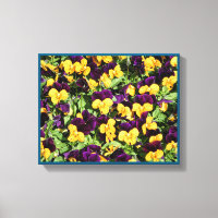 Pansy Overload Stretched Canvas Print