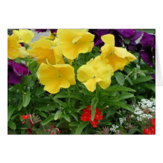 Pansy Pannier