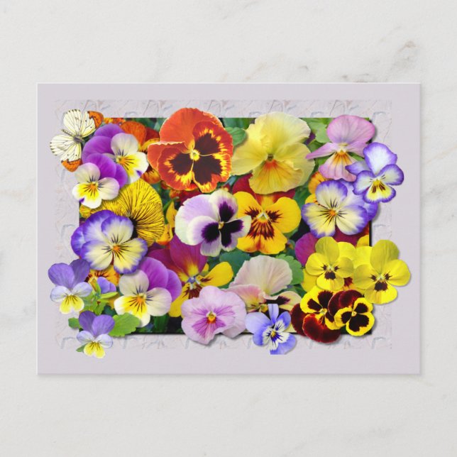 PANSY PATCHWORK POSTKARTE (Vorderseite)