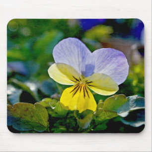 Pansy Perfection Mousepad